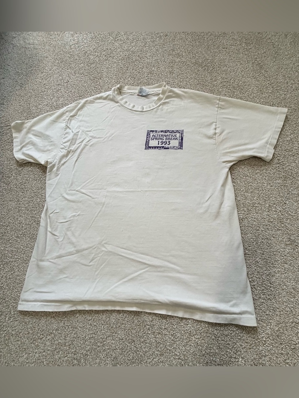 Vintage 1993 University of Michigan Alternative Spring Break Single Stitch T